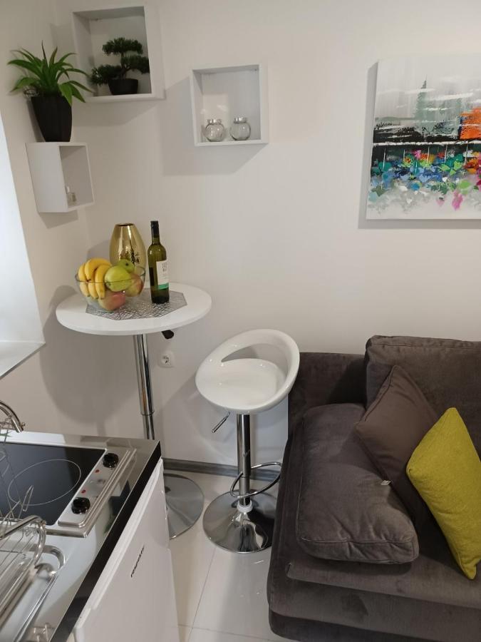 In The Centar Apartment 里耶卡 外观 照片